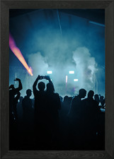 Listing image for Concert Crowd Silhouettes Framed Wall Art Poster Canvas Print Picture