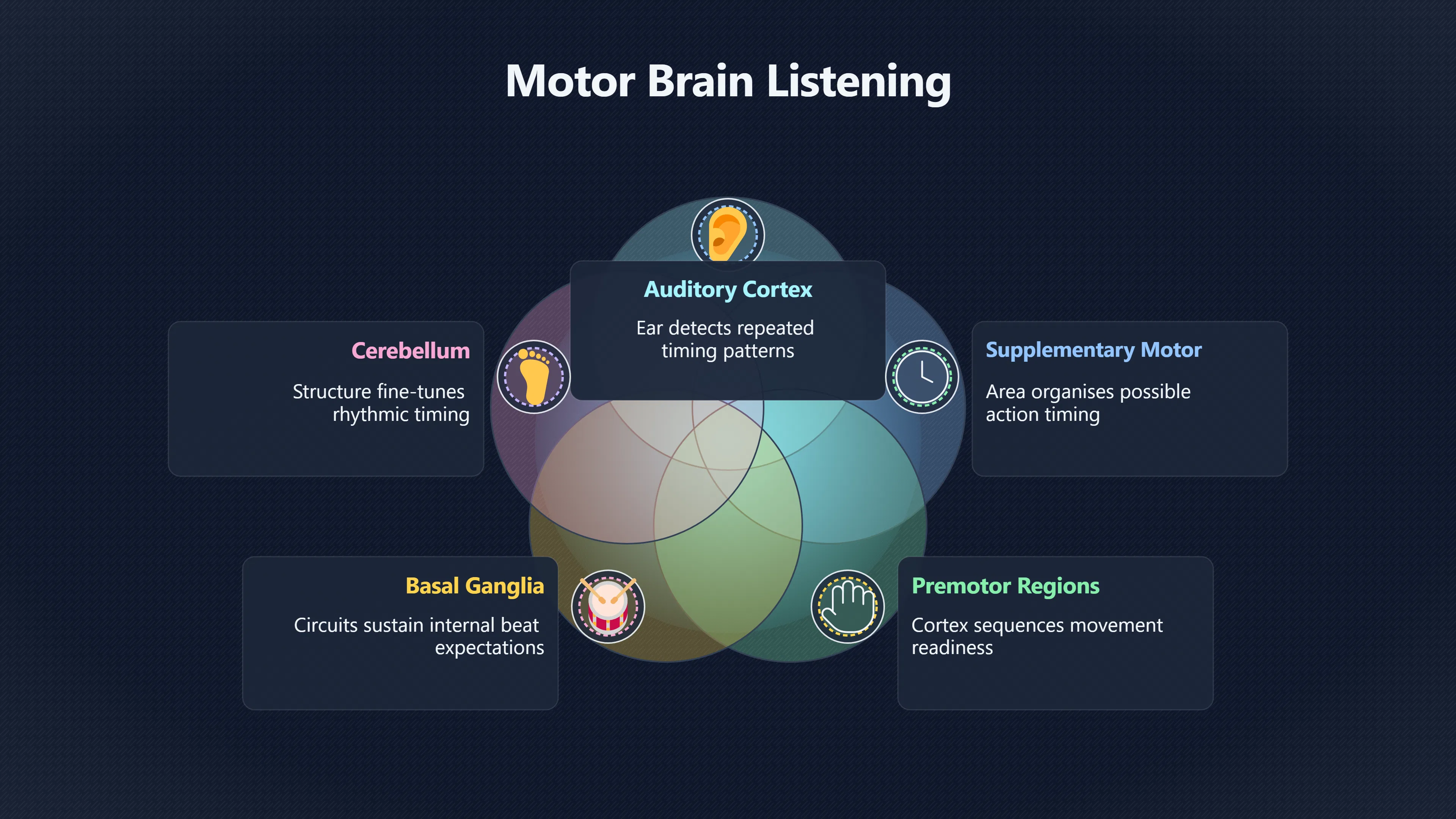 Overview image for Why Your Body Hears the Beat First | Rhythm